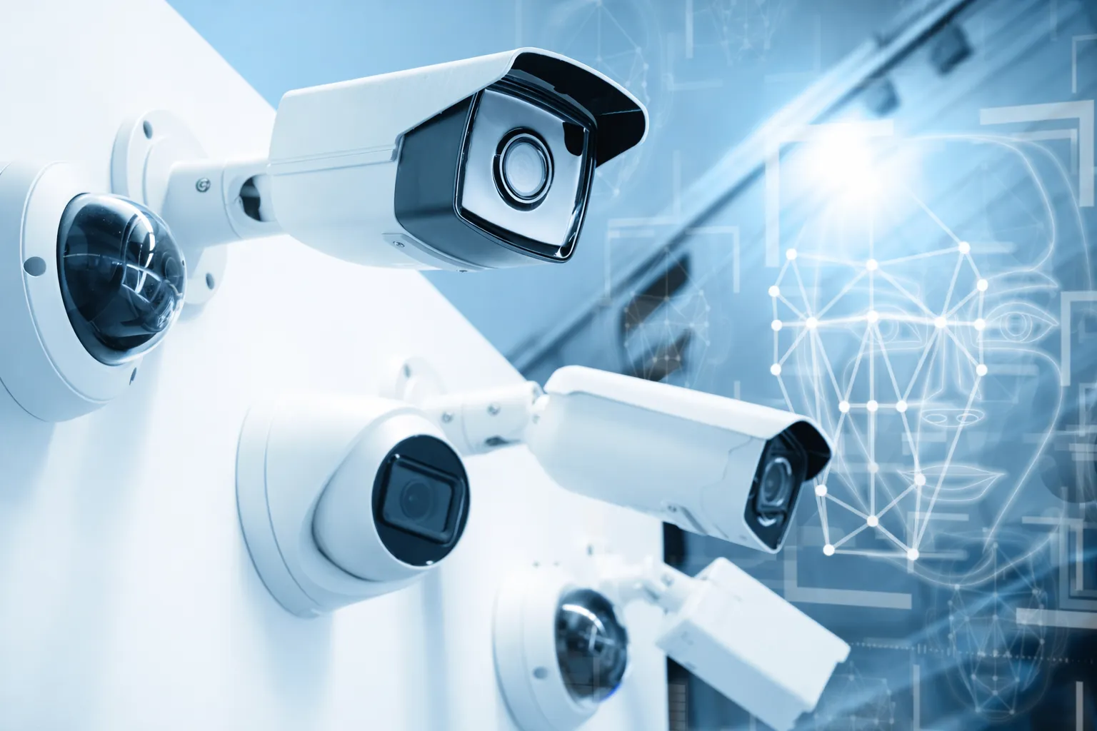 Behavior detection and anomaly alert system