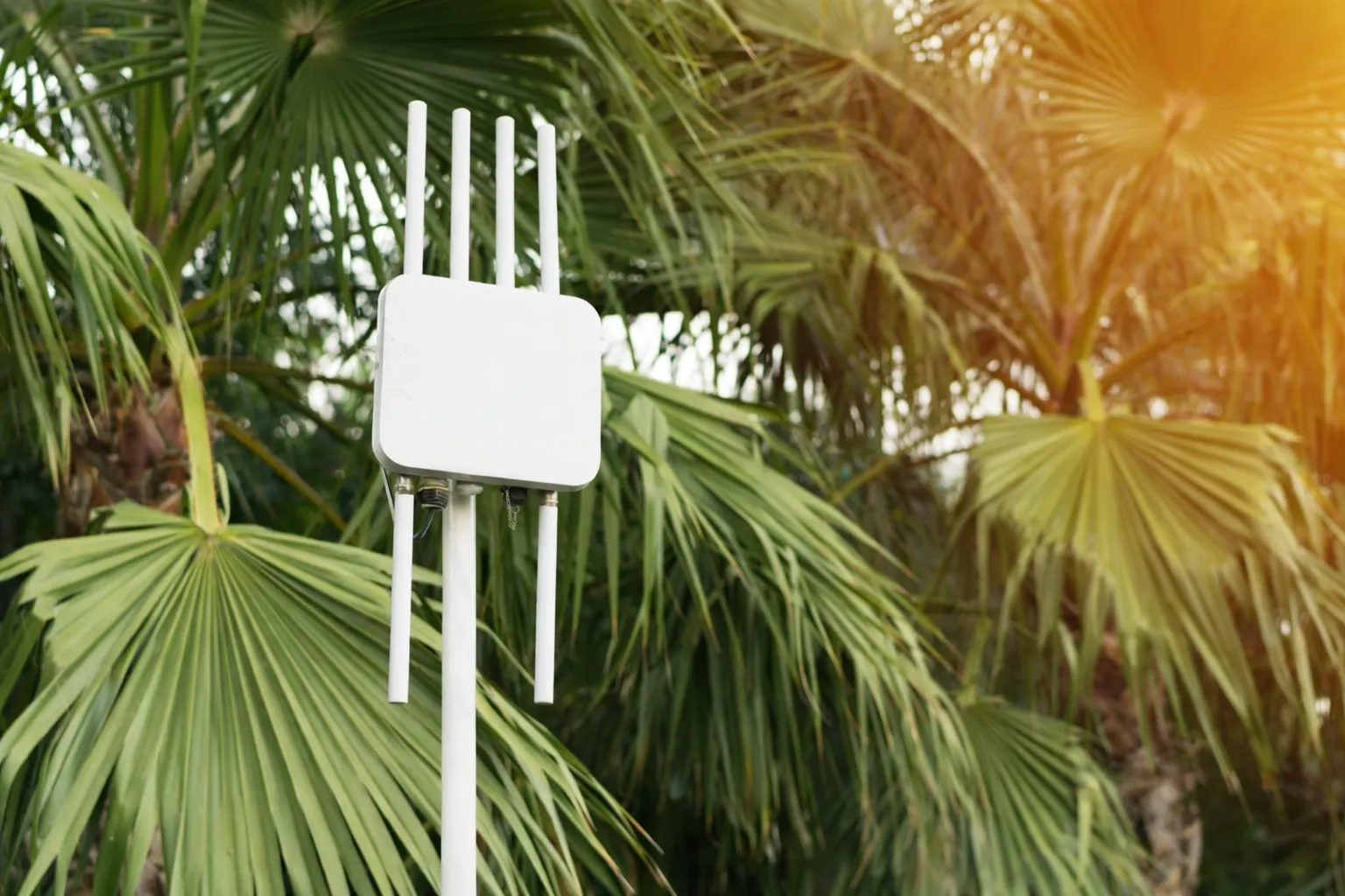 Wireless controller and network monitoring